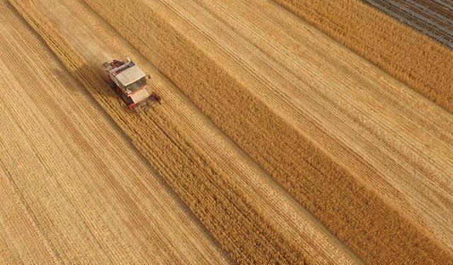 Qu Dongyu yeniden FAO genel direktörü seçildi