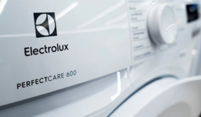 İsveçli beyaz eşya üreticisi Electrolux, Çin'deki yatırımlarını genişletmeye devam edecek