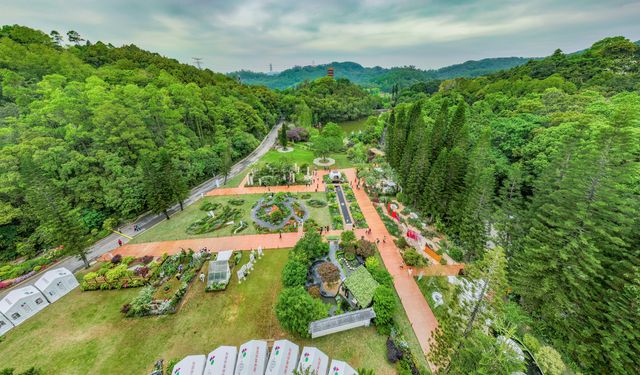 Çin'in Shenzhen kentinde Çiçek Festivali başladı