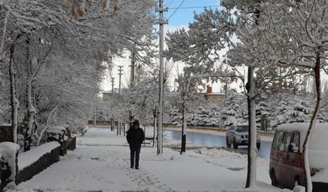 Erzurum, Kars ve Ardahan Kar Altında