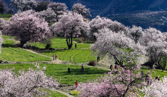 Çin'in Suosong köyünden bahar manzarası