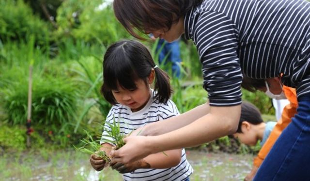 Japonya son 125 yılın en sıcak baharını yaşadı