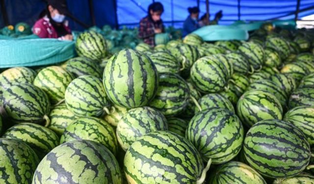 Çin'in Ocak-Nisan dönemindeki tarım ürünleri dış ticareti arttı