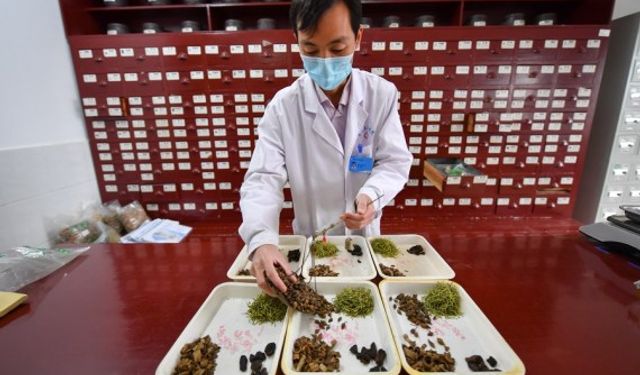 Önde gelen geleneksel Çin tıbbı üreticisi, Rusya ve Endonezya'dan 30.000 ton bitki ithal edecek