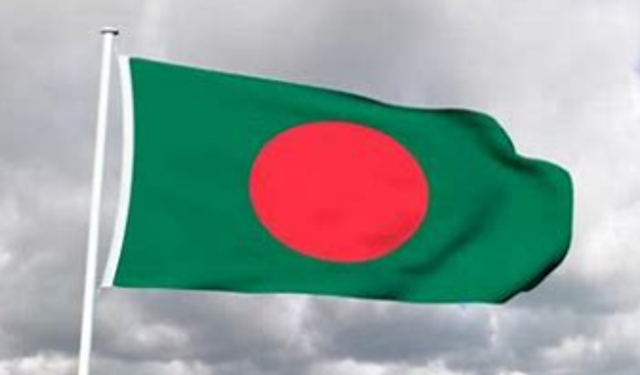 Bangladeş'te dang humması vakalarında artış