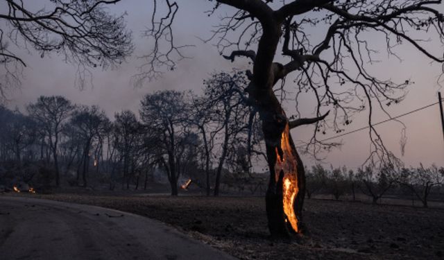 Şili'de devam eden orman yangınlarında can kaybı 99'a yükseldi