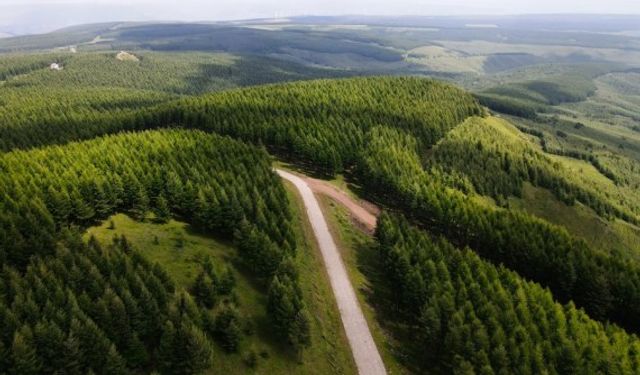 Çin'de su ve toprak erozyonuna tabi alanlar 2022'de azaldı