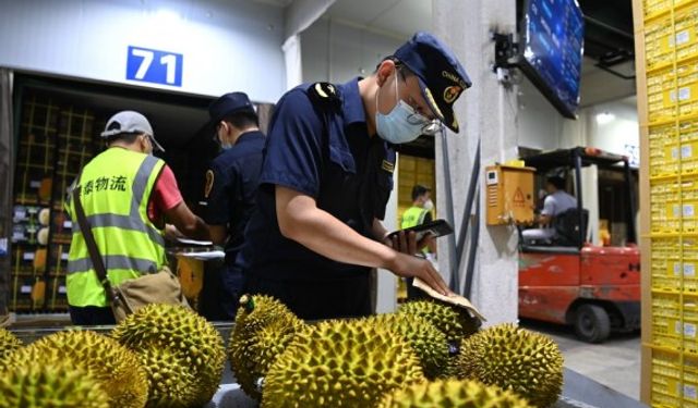 Çin ile Vietnam arasındaki sınır kapısında 300.000'den fazla yük aracı işlem gördü