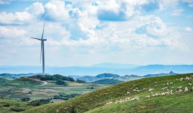 Çin'in kurulu yenilenebilir enerji kapasitesi Ocak-Ağustos döneminde arttı