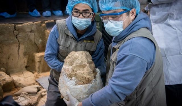 İnsanın ataları 900.000 yıl önce hayatta kalma sınavından geçmiş