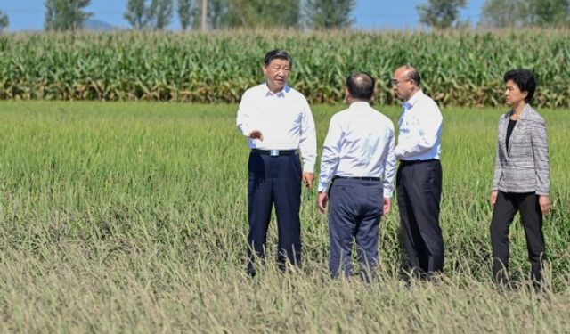 Xi, Çin'in Heilongjiang eyaletinde selden etkilenen köyleri ziyaret etti