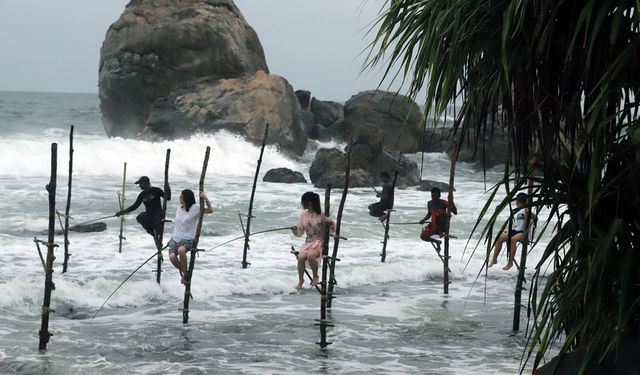 Sri Lanka'da çubuklar üzerinde yapılan balıkçılık turistlerin ilgisini çekiyor