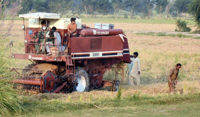 Pakistan'ın Lahor bölgesinde tarımsal projelere hız verildi