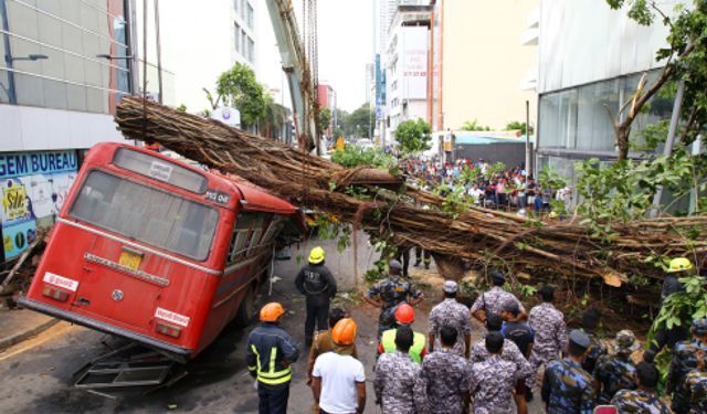 Sri Lanka'da devrilen ağacın altında kalan otobüste 5 kişi hayatını kaybetti