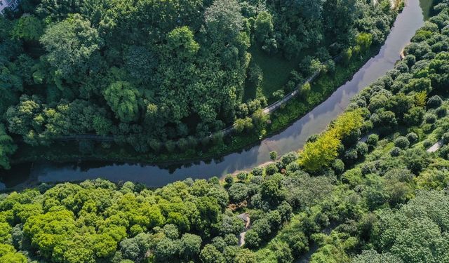 Çin'de Panxi Nehri'ndeki çevre iyileştirme çalışmaları meyvelerini verdi