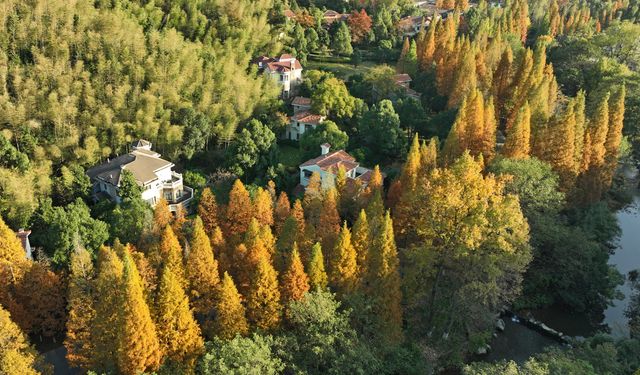 Çin'deki Meiling Ulusal Orman Parkı'nda sonbahar manzarası