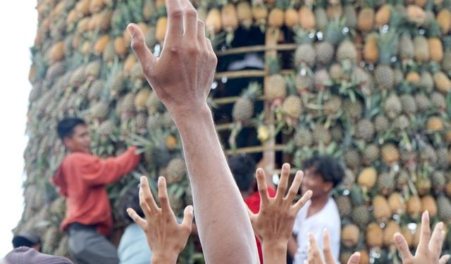 Endonezya'daki ananas festivalinden renkli kareler