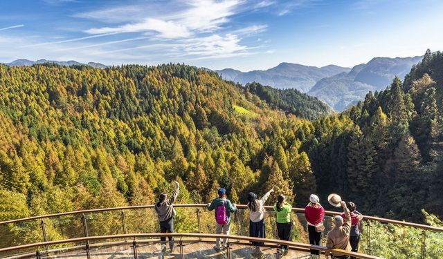 Hainan Havayolları, Chongqing-Paris seferlerini yeniden başlatacak