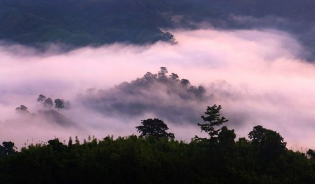 Bangladeş'in Bandarban kenti bulutların arasına gizlenmiş manzaralarıyla turistleri ağırlıyor