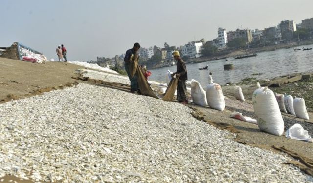 Bangladeş'te işçiler nehir kıyısındaki plastik malzemeleri geri dönüştürmek üzere kurutuyor