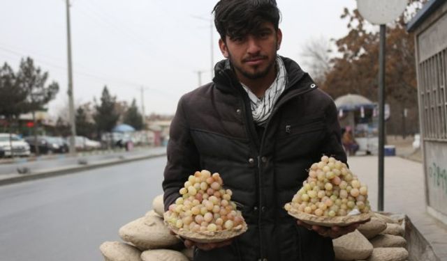 Afganistan'da geleneksel kangana yöntemiyle üzümler aylarca taze kalıyor