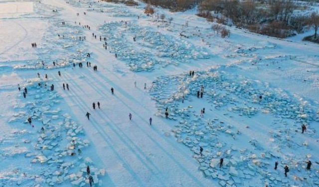 Çin'in Harbin kentinde eğlence noktasına dönüşen buz toplama alanı ilgi odağı oldu