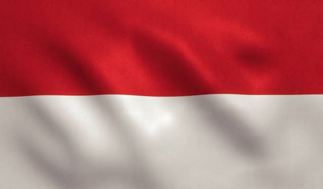 Endonezya'nın Kuzey Sumatra eyaletinde kırmızı palm yağı fabrikası açıldı