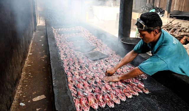 Endonezya'nın tütsülenmiş kedi balığı dilimleri Malezya ve Nijerya'ya ihraç ediliyor