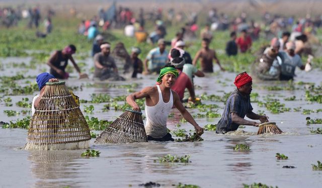 Hindistan'da Bhogali Bihu festivali için toplu halde balık tutuldu