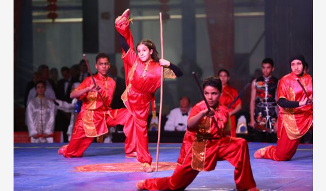 Mısır'da düzenlenen Çin Bahar Bayramı Wushu Şampiyonası sona erdi