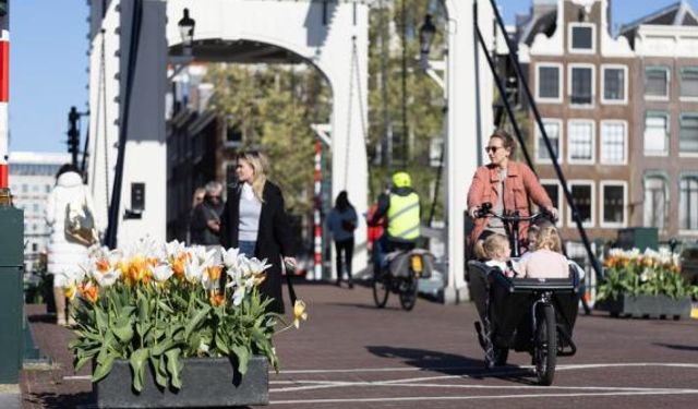 Amsterdam'daki Lale Festivali kente renk katıyor