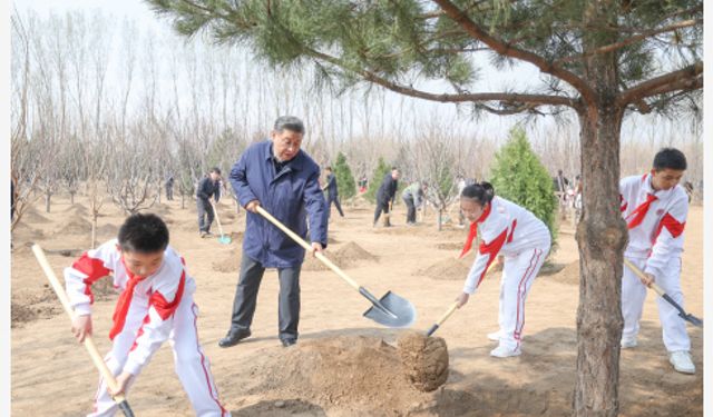 Çin Cumhurbaşkanı Xi, Beijing'de gönüllü ağaç dikme etkinliğine katıldı