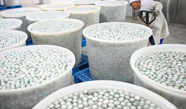 Çin'in Gaoyou şehrinde ördek yumurtası üretimi hız kazandı