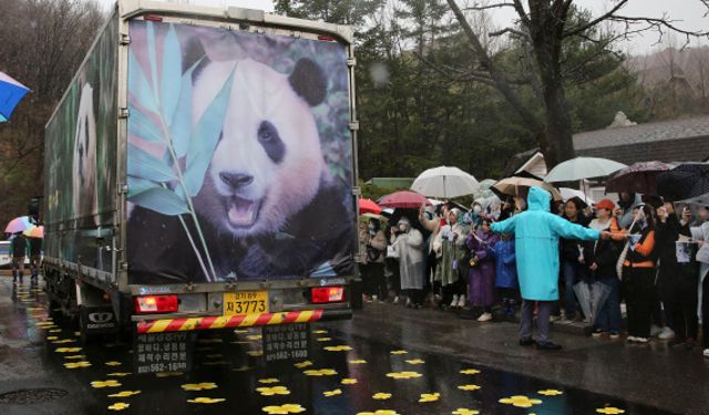 Güney Koreliler dev panda Fu Boa'yu uğurladı