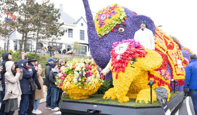 Hollanda'da çiçek festivali geçit töreni büyük ilgi gördü