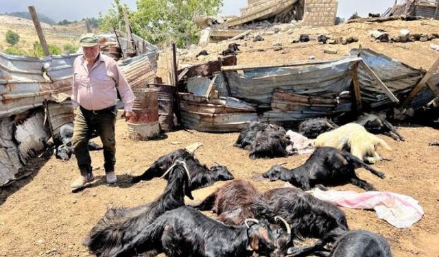 İsrail, Lübnan'ın Cezzin bölgesinde bir çiftliğe hava saldırısı düzenledi