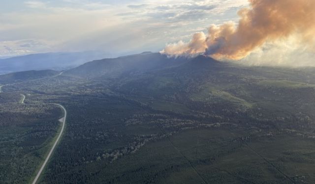 Kanada'nın British Columbia eyaleti 300'ün üzerinde orman yangınıyla mücadele ediyor