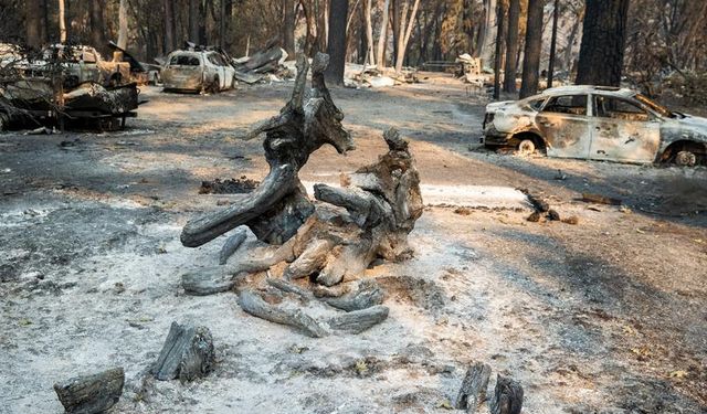 ABD'nin Kaliforniya eyaletinde Park Yangını 1.583 kilometrekare alana yayıldı