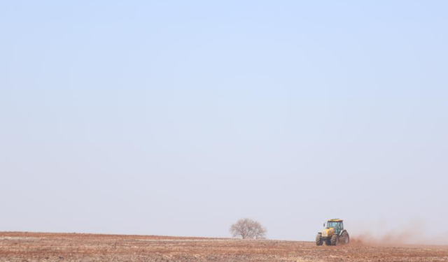 Brezilya'daki orman yangınlarının yol açtığı ekonomik kayıp 182 milyon dolara ulaştı