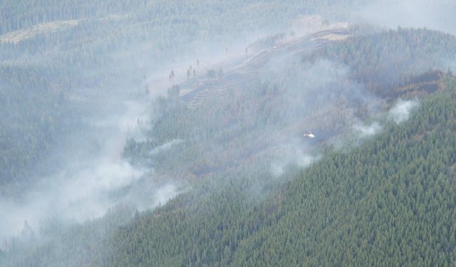 Kanada'nın British Columbia eyaletinde aktif orman yangını sayısı 428'e çıktı