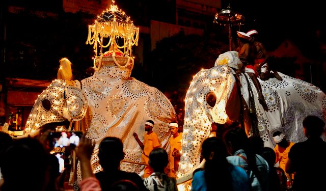 Sri Lanka'da düzenlenen Esala Perahera Festivali renkli anlara sahne oldu