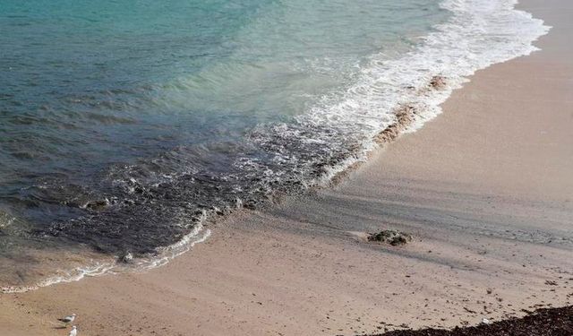 Sidney'de plajların kapatılmasına neden olan gizemli atıkların katran topları olduğu ortaya çıktı