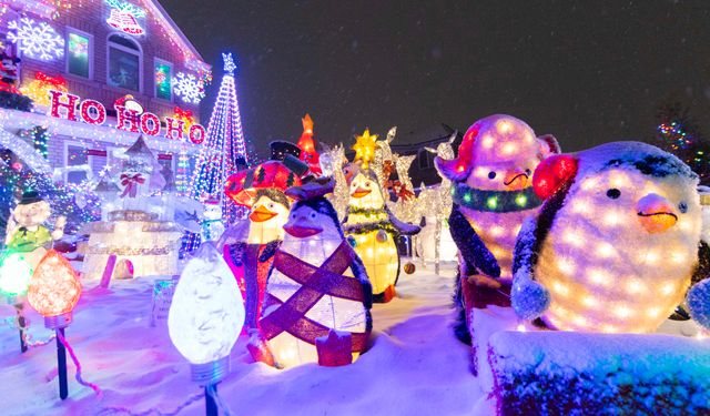 Kanada'nın Mississauga kentinde Noel coşkusu renkli görüntüler oluşturdu