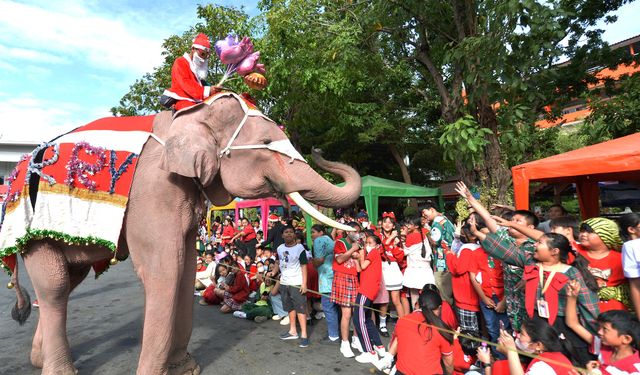 Tayland'da Noel temalı kostüm giyen fil çocuklara hediye dağıttı