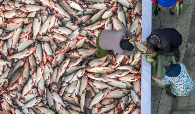 Çin'in Taizhou kentinde Kış Balıkçılığı Festivali düzenlendi