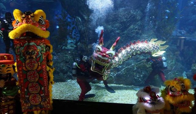 Tayland'ın başkenti Bangkok'ta Çin Yeni Yılı için su altı ejderha dansı düzenlendi