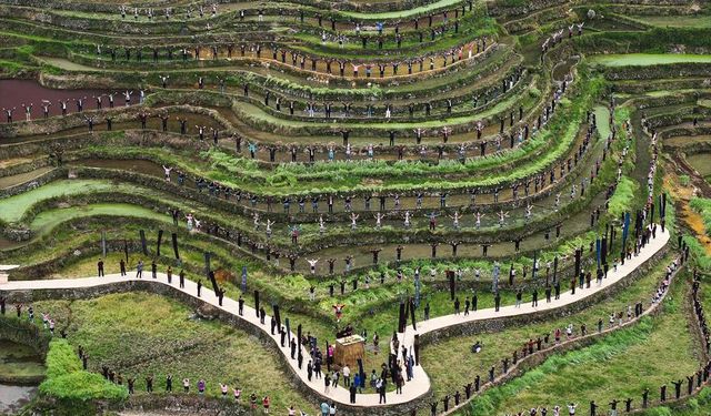 Çin'in Guizhou eyaletindeki teraslı tarlalar kültürel etkinliklere sahne oldu