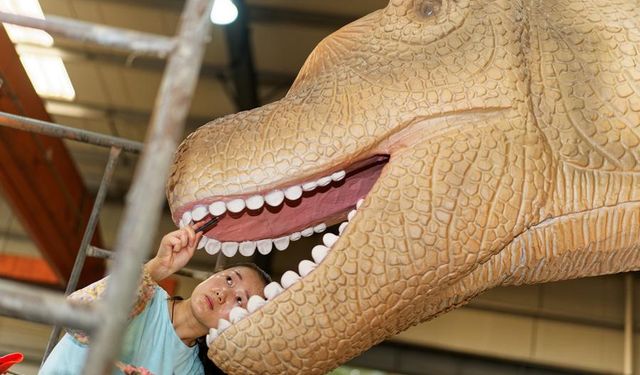 Çin'in Zigong kenti fener sanatı ve dinozor maketleriyle küresel marka haline geldi