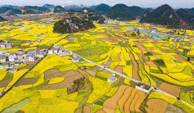 Xinhua Enstitüsü raporu Çin'in yoksullukla mücadelede elde ettiği kazanımları pekiştirme uygulamalarını ortaya koydu