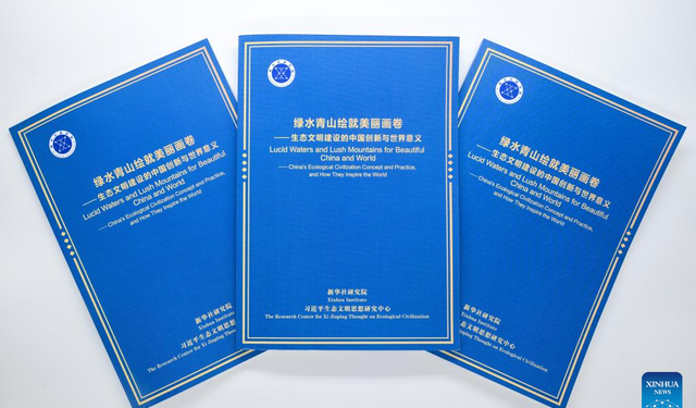 Report sheds light on global value of China's green push